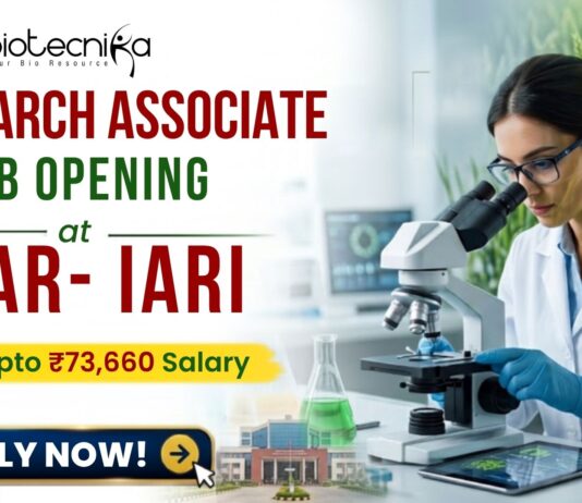 Earn ₹73,660 Salary Research Associate Job at ICAR-IARI | Apply Online Here Earn ₹73,660 Salary Research Associate Job at ICAR-IARI | Apply Online Here
