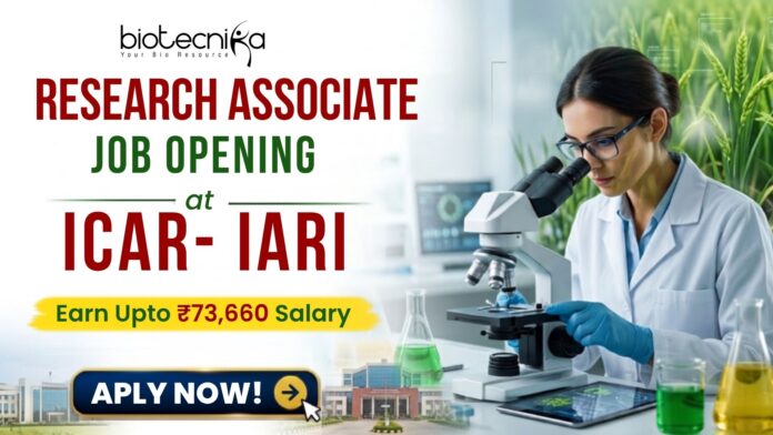 Earn ₹73,660 Salary Research Associate Job at ICAR-IARI Apply Online Here Earn ₹73,660 Salary Research Associate Job at ICAR-IARI | Apply Online Here