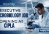 Executive Microbiology Job Opening at Cipla – MSc Candidates Apply Now Executive Microbiology Job Opening at Cipla – MSc Candidates Apply Now. A professional corporate recruitment banner for Cipla, sized 1920x1080 pixels with a blue gradient color scheme. On the left, bold text reads "EXECUTIVE MICROBIOLOGY JOB OPENING at Cipla," with "MICROBIOLOGY JOB" and "Cipla" prominently highlighted. On the right, a male microbiologist wearing a white lab coat, safety glasses, and blue gloves is focused on using a microscope in a clean, modern laboratory setting. The Cipla logo is positioned in the top right corner, and a distinct blue "Apply Now" button sits in the bottom right corner.