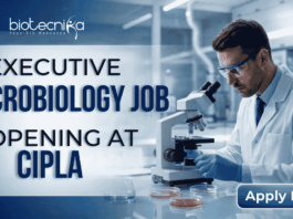 Executive Microbiology Job Opening at Cipla – MSc Candidates Apply Now. A professional corporate recruitment banner for Cipla, sized 1920x1080 pixels with a blue gradient color scheme. On the left, bold text reads "EXECUTIVE MICROBIOLOGY JOB OPENING at Cipla," with "MICROBIOLOGY JOB" and "Cipla" prominently highlighted. On the right, a male microbiologist wearing a white lab coat, safety glasses, and blue gloves is focused on using a microscope in a clean, modern laboratory setting. The Cipla logo is positioned in the top right corner, and a distinct blue "Apply Now" button sits in the bottom right corner.