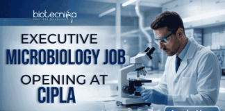 Executive Microbiology Job Opening at Cipla – MSc Candidates Apply Now. A professional corporate recruitment banner for Cipla, sized 1920x1080 pixels with a blue gradient color scheme. On the left, bold text reads "EXECUTIVE MICROBIOLOGY JOB OPENING at Cipla," with "MICROBIOLOGY JOB" and "Cipla" prominently highlighted. On the right, a male microbiologist wearing a white lab coat, safety glasses, and blue gloves is focused on using a microscope in a clean, modern laboratory setting. The Cipla logo is positioned in the top right corner, and a distinct blue "Apply Now" button sits in the bottom right corner.