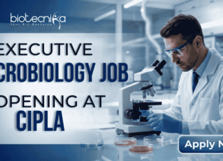 Executive Microbiology Job Opening at Cipla – MSc Candidates Apply Now Executive Microbiology Job Opening at Cipla – MSc Candidates Apply Now. A professional corporate recruitment banner for Cipla, sized 1920x1080 pixels with a blue gradient color scheme. On the left, bold text reads "EXECUTIVE MICROBIOLOGY JOB OPENING at Cipla," with "MICROBIOLOGY JOB" and "Cipla" prominently highlighted. On the right, a male microbiologist wearing a white lab coat, safety glasses, and blue gloves is focused on using a microscope in a clean, modern laboratory setting. The Cipla logo is positioned in the top right corner, and a distinct blue "Apply Now" button sits in the bottom right corner.