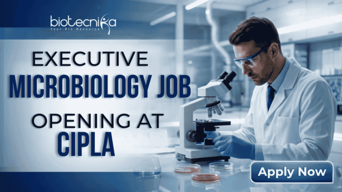 Executive Microbiology Job Opening at Cipla – MSc Candidates Apply Now Executive Microbiology Job Opening at Cipla – MSc Candidates Apply Now. A professional corporate recruitment banner for Cipla, sized 1920x1080 pixels with a blue gradient color scheme. On the left, bold text reads "EXECUTIVE MICROBIOLOGY JOB OPENING at Cipla," with "MICROBIOLOGY JOB" and "Cipla" prominently highlighted. On the right, a male microbiologist wearing a white lab coat, safety glasses, and blue gloves is focused on using a microscope in a clean, modern laboratory setting. The Cipla logo is positioned in the top right corner, and a distinct blue "Apply Now" button sits in the bottom right corner.