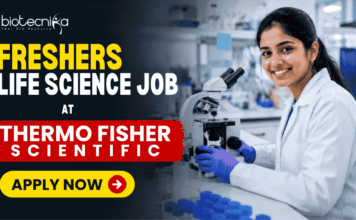Freshers Life Science Job at Thermo Fisher Scientific in Bangalore | Apply Online Here! Freshers Life Science Job at Thermo Fisher Scientific in Bangalore Apply Online Here! Apply for a Life Science Freshers Job at Thermo Fisher Scientific as Scientist I, Molecular Biology in Bangalore. Explore Scientist Jobs, antibody research, biotechnology, and Thermo Fisher Careers.