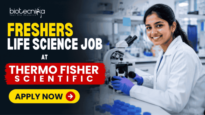 Freshers Life Science Job at Thermo Fisher Scientific in Bangalore Apply Online Here! (1) Freshers Life Science Job at Thermo Fisher Scientific in Bangalore Apply Online Here! Apply for a Life Science Freshers Job at Thermo Fisher Scientific as Scientist I, Molecular Biology in Bangalore. Explore Scientist Jobs, antibody research, biotechnology, and Thermo Fisher Careers.