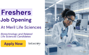 Freshers Life Sciences Job Opening at Meril – Don’t Miss This Opportunity!! Freshers Life Sciences Jobs under Meril: Biotechnology and Related Fields Candidates Apply Now for a Career in R&D.
