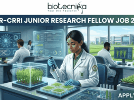 ICAR-CRRI Junior Research Fellow Job 2026 ₹37,000 + HRA Salary for Biotechnology & Life Science Candidates. Apply for Junior Research Fellow Job with ₹37,000 + HRA for Biotechnology, Botany, Genetics, Agriculture, and Life Science Jobs aspirants.