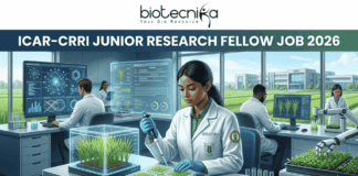 ICAR-CRRI Junior Research Fellow Job 2026 | ₹37,000 + HRA Salary for Biotechnology & Life Science Candidates ICAR-CRRI Junior Research Fellow Job 2026 ₹37,000 + HRA Salary for Biotechnology & Life Science Candidates. Apply for Junior Research Fellow Job with ₹37,000 + HRA for Biotechnology, Botany, Genetics, Agriculture, and Life Science Jobs aspirants.