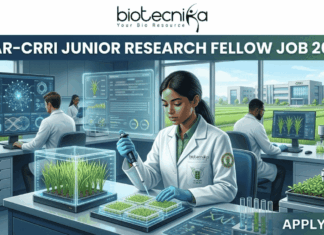 ICAR-CRRI Junior Research Fellow Job 2026 | ₹37,000 + HRA Salary for Biotechnology & Life Science Candidates ICAR-CRRI Junior Research Fellow Job 2026 ₹37,000 + HRA Salary for Biotechnology & Life Science Candidates. Apply for Junior Research Fellow Job with ₹37,000 + HRA for Biotechnology, Botany, Genetics, Agriculture, and Life Science Jobs aspirants.