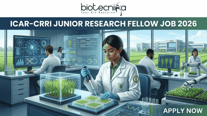 ICAR-CRRI Junior Research Fellow Job 2026 ₹37,000 + HRA Salary for Biotechnology & Life Science Candidates ICAR-CRRI Junior Research Fellow Job 2026 ₹37,000 + HRA Salary for Biotechnology & Life Science Candidates. Apply for Junior Research Fellow Job with ₹37,000 + HRA for Biotechnology, Botany, Genetics, Agriculture, and Life Science Jobs aspirants.