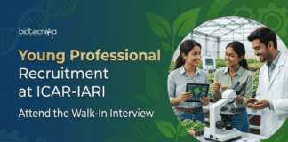 ICAR-IARI Recruitment 2026. Young Professional Jobs offering ₹42,000 salary under NASF project. Walk-In for Agriculture Jobs.