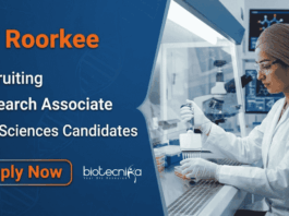 Rs. 66,490 Per Month Research Jobs at IIT – Life Sciences Candidates, Apply Apply for IIT Roorkee Recruitment 2026. Research Jobs for PhD candidates seeking a Rewarding Career in Life Sciences.