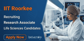 Rs. 66,490 Per Month Research Jobs at IIT – Life Sciences Candidates, Apply Apply for IIT Roorkee Recruitment 2026. Research Jobs for PhD candidates seeking a Rewarding Career in Life Sciences.