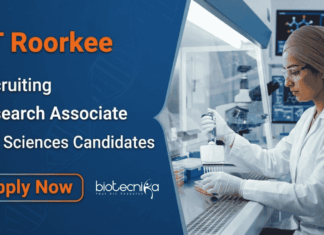 Rs. 66,490 Per Month Research Jobs at IIT – Life Sciences Candidates, Apply Apply for IIT Roorkee Recruitment 2026. Research Jobs for PhD candidates seeking a Rewarding Career in Life Sciences.