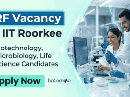 IIT Recruitment for Life Sciences Candidates – Apply Now for Research Roles IIT Roorkee Recruitment 2026 for JRF positions. Apply for Research Jobs and build a Life Sciences Career in molecular biology and virology.