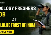 Freshers Job for Zoology Candidates at Wildlife Trust of India – Biologist Jobs Apply Now Zoology Freshers Job at Wildlife Trust of India | Apply Now