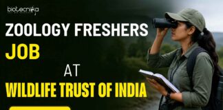 Freshers Job for Zoology Candidates at Wildlife Trust of India – Biologist Jobs Apply Now Zoology Freshers Job at Wildlife Trust of India | Apply Now