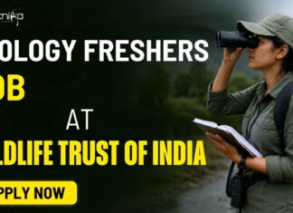 Freshers Job for Zoology Candidates at Wildlife Trust of India – Biologist Jobs Apply Now Zoology Freshers Job at Wildlife Trust of India | Apply Now