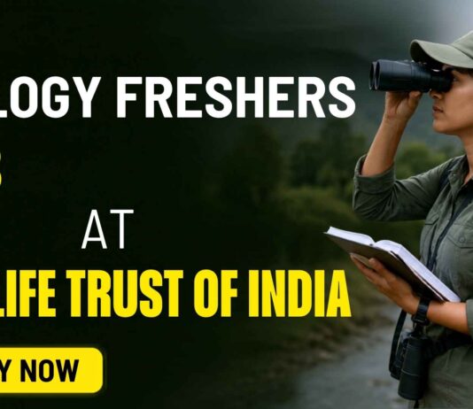 Zoology Freshers Job at Wildlife Trust of India | Apply Now