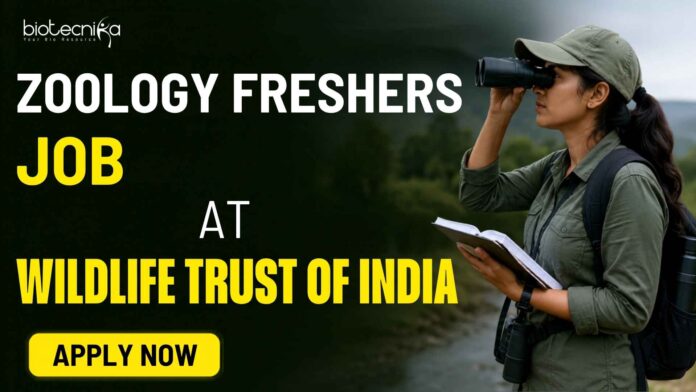 Zoology Freshers Job at Wildlife Trust of India | Apply Now Zoology Freshers Job at Wildlife Trust of India | Apply Now