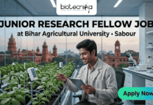 Junior Research Fellow at Bihar Agricultural University for Biotechnology & Bioinformatics Candidates Junior Research Fellow Job at Bihar Agricultural University