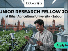 Junior Research Fellow at Bihar Agricultural University for Biotech & Bioinformatics Candidates Junior Research Fellow Job at Bihar Agricultural University