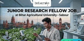 Junior Research Fellow Job at Bihar Agricultural University