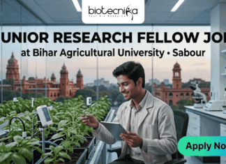 Junior Research Fellow at Bihar Agricultural University for Biotech & Bioinformatics Candidates Junior Research Fellow Job at Bihar Agricultural University
