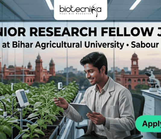 Junior Research Fellow at Bihar Agricultural University for Biotechnology & Bioinformatics Candidates Junior Research Fellow Job at Bihar Agricultural University