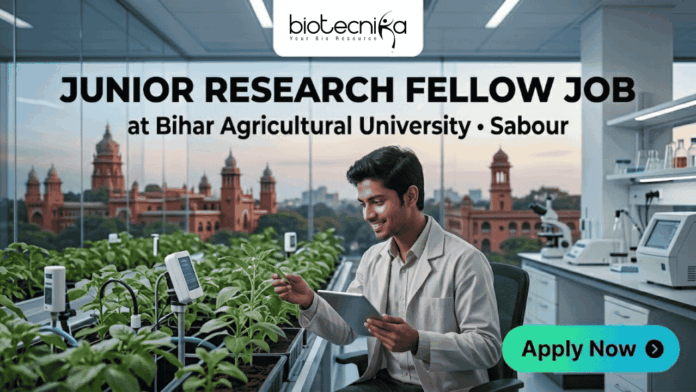 Junior Research Fellow Job at Bihar Agricultural University Junior Research Fellow Job at Bihar Agricultural University