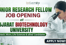 Junior Research Fellow Job at Gujarat Biotechnology University | Application Invited Junior Research Fellow Job at Gujarat Biotechnology University | Application Invited