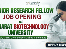 Junior Research Fellow Job at Gujarat Biotechnology University | Application Invited Junior Research Fellow Job at Gujarat Biotechnology University | Application Invited