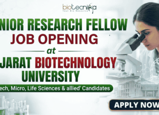 Junior Research Fellow Job at Gujarat Biotechnology University | Application Invited Junior Research Fellow Job at Gujarat Biotechnology University | Application Invited