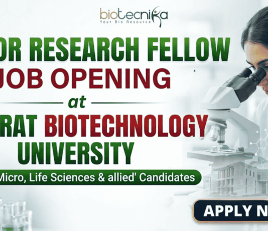 Junior Research Fellow Job at Gujarat Biotechnology University | Application Invited Junior Research Fellow Job at Gujarat Biotechnology University | Application Invited