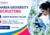 Apply for Junior Research Fellow position Under Sharda University Recruitment and Contribute to Cutting-Edge Life Sciences Research.