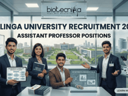 Kalinga University Assistant Professor Job Recruitment 2026