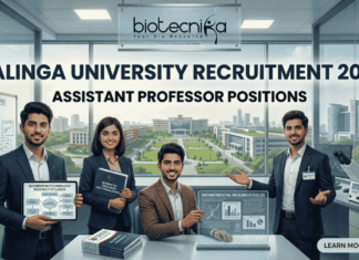 Kalinga University Assistant Professor Recruitment 2026 | Applications Invited Kalinga University Assistant Professor Job Recruitment 2026
