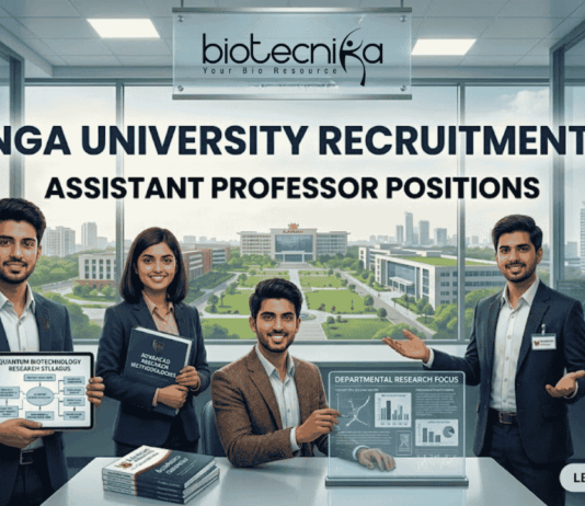 Kalinga University Assistant Professor Job Recruitment 2026