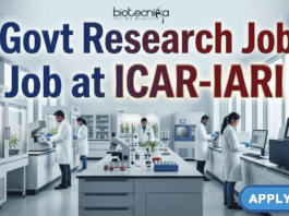 Govt Research Job at ICAR-IARI | Grab This Opportunity. Latest Govt Research Job at ICAR-Indian Agricultural Research Institute Grab This Opportunity