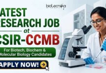 Latest Research Job at CSIR-CCMB for Biotech, Biochem & Molecular Biology Candidates | Apply Now Latest Research Job at CSIR-CCMB for Biotech, Biochem & Molecular Biology Candidates | Apply Now