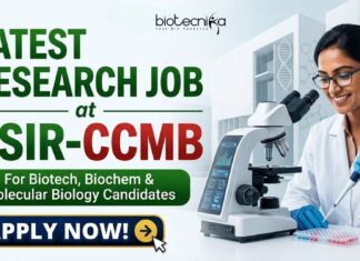 Latest Research Job at CSIR-CCMB for Biotech, Biochem & Molecular Biology Candidates | Apply Now Latest Research Job at CSIR-CCMB for Biotech, Biochem & Molecular Biology Candidates | Apply Now