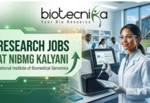 Latest Research Jobs at NIBMG Kalyani with ₹48,000/Month Salary | Apply Now Latest Research Jobs at NIBMG Kalyani with ₹48,000/Month Salary | Apply Now