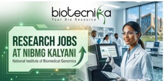 Latest Research Jobs at NIBMG Kalyani with ₹48,000/Month Salary | Apply Now Latest Research Jobs at NIBMG Kalyani with ₹48,000/Month Salary | Apply Now