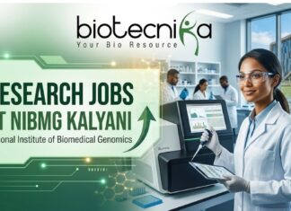 Latest Research Jobs at NIBMG Kalyani with ₹48,000/Month Salary | Apply Now Latest Research Jobs at NIBMG Kalyani with ₹48,000/Month Salary | Apply Now