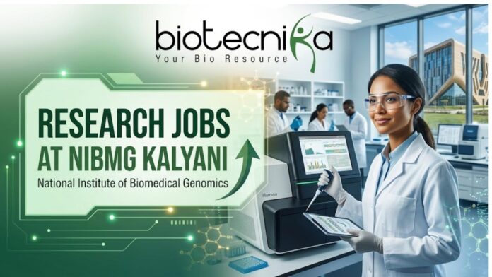 Latest Research Jobs at NIBMG Kalyani with ₹48,000Month Salary Apply Now Latest Research Jobs at NIBMG Kalyani with ₹48,000/Month Salary | Apply Now