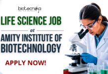 Life Science Job at Amity Institute of Biotechnology | Apply Now Apply for a Life Science Job at Amity Institute. DBT-funded Project Assistant Jobs for Biotech, Microbio, and Life Sciences graduates.