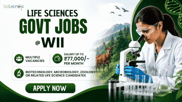 Life Sciences Govt Jobs at WII Wildlife Institute of India Recruitment 2026 offers Life Sciences Research Jobs Across Ecology, Biodiversity, GIS, and Conservation Projects.