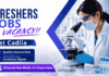 Apply for Microbiology Freshers Jobs under Cadila Careers. B.Sc/M.Sc Candidates Attend the QC Jobs Walk-in Drive.
