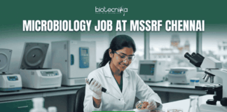 Microbiology Job Alert 2026: Don’t Miss This Job Opportunity at MSSRF in Chennai Microbiology Job Alert 2026: Don’t Miss This Job Opportunity at MSSRF in Chennai