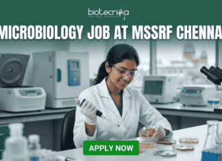 Microbiology Job Alert 2026: Don’t Miss This Job Opportunity at MSSRF in Chennai Microbiology Job Alert 2026: Don’t Miss This Job Opportunity at MSSRF in Chennai